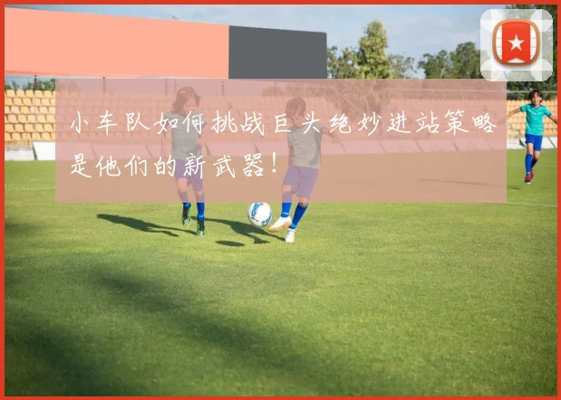 小车队如何挑战巨头绝妙进站策略是他们的新武器！